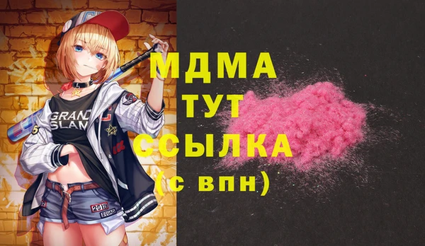прущие грибы Абинск