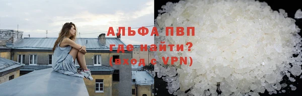 прущие грибы Абинск