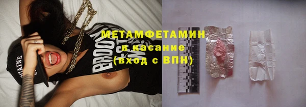 прущие грибы Абинск