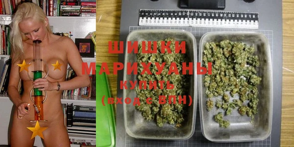 прущие грибы Абинск